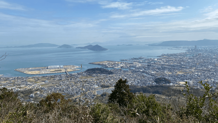 宇佐八幡宮とは